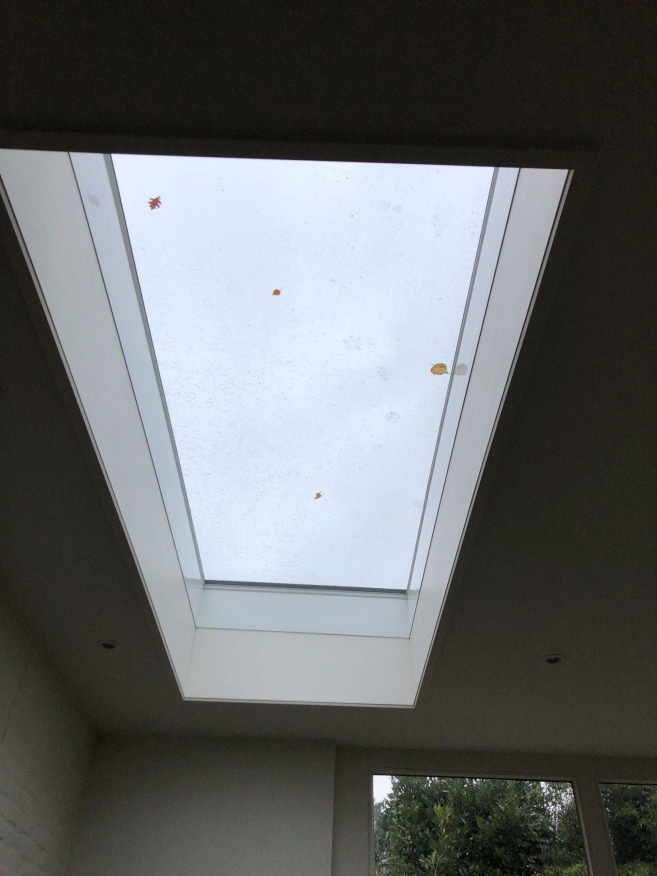 IMG 1769